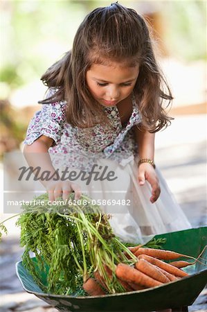 Cute girl putting carrots in a wheelbarrow