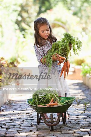 Cute girl putting carrots in a wheelbarrow