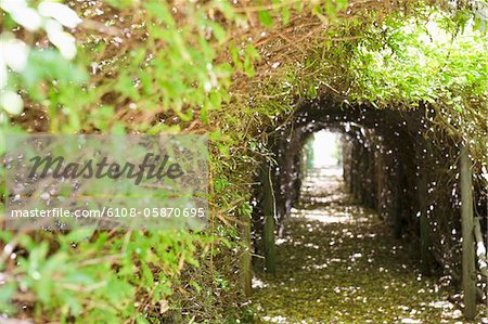 Narrow path passing through a tunnel