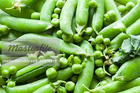 A lot of fresh green peas close up