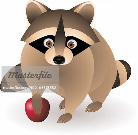 Raccoon cartoon