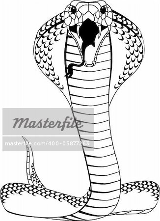 Cobra tattoo illustration