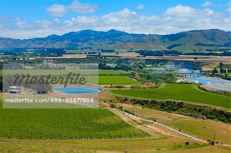 Scenic view of Marlborough wine region in the South Island of New Zealand