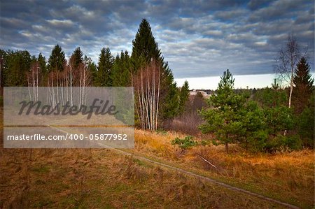 Russian autumn landscape with mixed forest