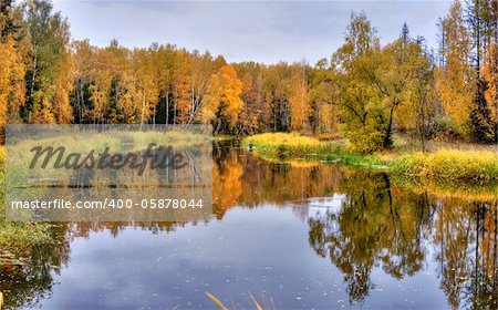 Landscape with forest lake in autumn rainy day