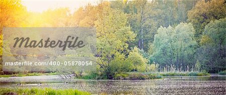 Landscape with forest lake in sunny evening