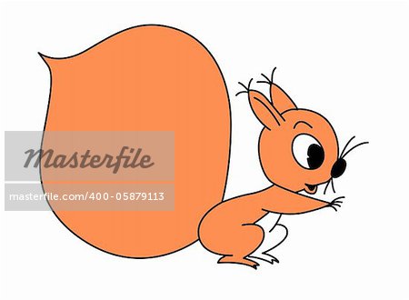 vector silhouette squirrel on white background