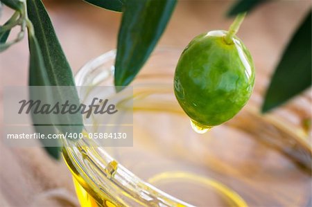 Extra virgin healthy Olive oil with fresh olives on rustic wooden background