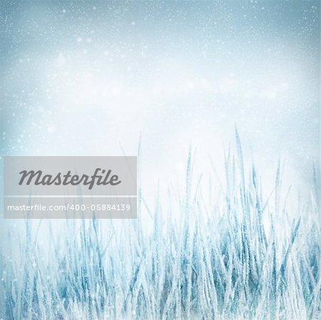 Winter  abstract nature background with frozen grass in the meadow and snow. Christmas holiday background