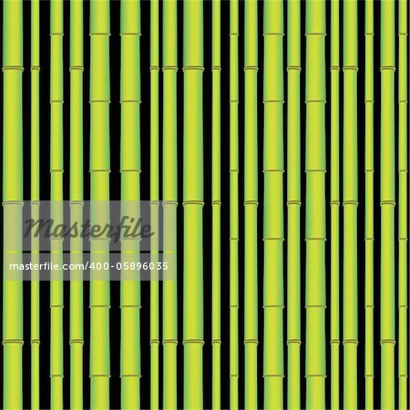 Bamboo seamless asian tropic forest. Wood vector background.