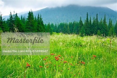 Beautiful mountains landscape in Carpathian