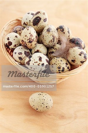 quail eggs in the basket with the plumelet