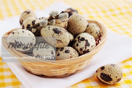 quail eggs in the basket with the pussy-willow