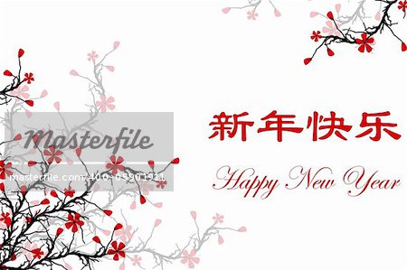 Happy New Year Card with Chinese & English text