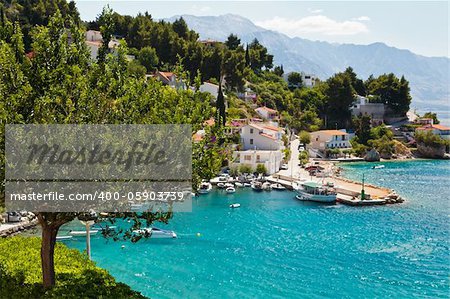 Green tree and beautiful Adriatic bay in the background in Croatia