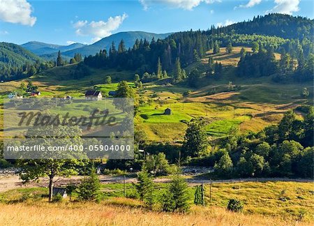 Summer mountain village landscape with flowering grassland in front