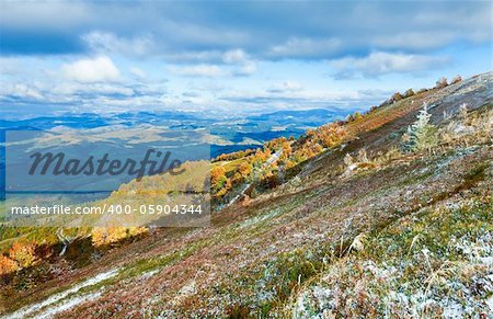 October Carpathian mountain Borghava plateau with first winter snow and autumn colorful bilberry bushes