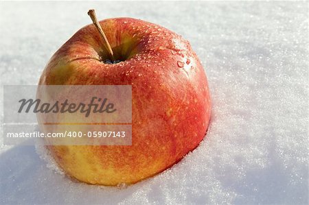 An apple lay on snow at day light