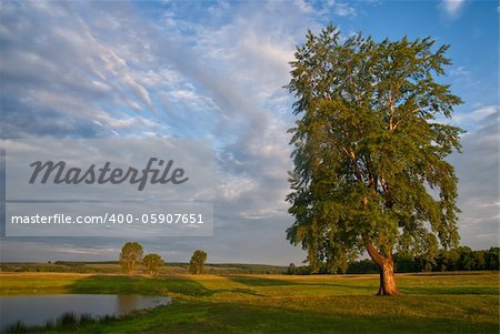 Beautiful meadow landscape with lonely tree and lake