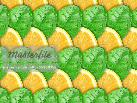 Abstract background with citrus-fruit of lemon slices and green leaf with dew for your design. Close-up. Studio photography.