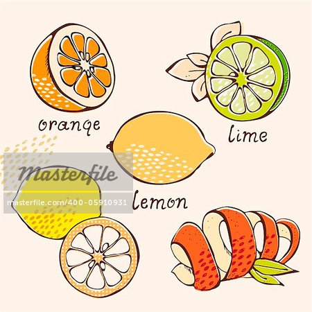 Citrus vector set from orange, lemon, lime, grapefruit in cartoon style
