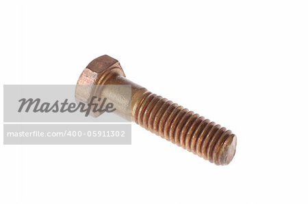 Brass screw isolated on white