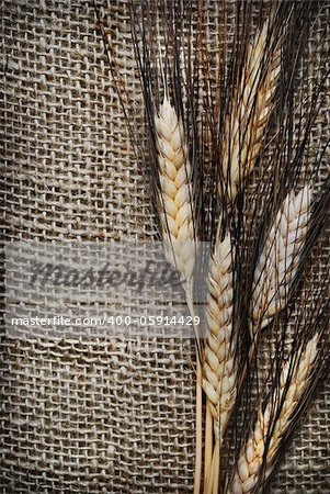 Wheat ears on rough sack material