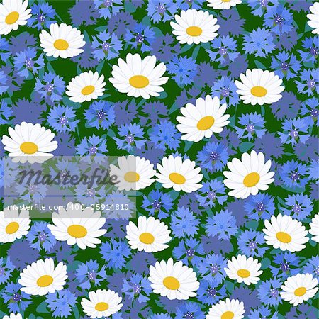 Seamless pattern with camomiles and cornflower background