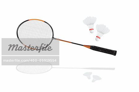 Detailed badminton racket and shuttlecock in vector format