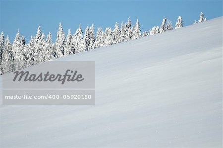 Trees covered with hoarfrost and snow hill in mountains