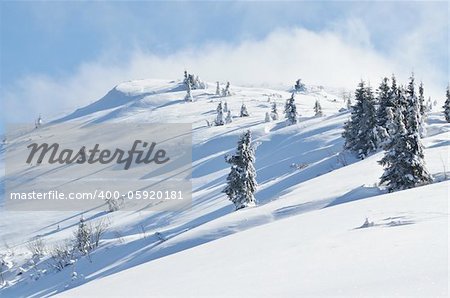 Winter calm mountain landscape with snow covered firs on ridge