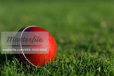 A red cricket ball on green grass background