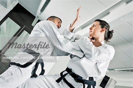 An image of two martial arts fighters