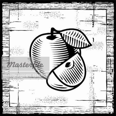 Retro apple with a slice on wooden background. Black and white vector illustration in woodcut style.