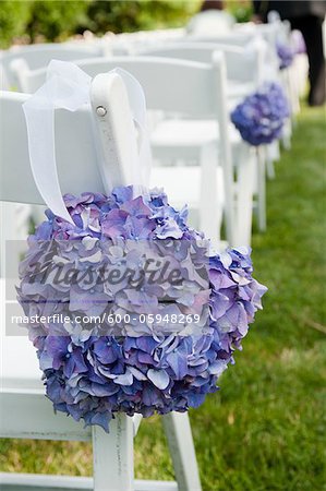 Hydrangeas on Chairs at Wedding Ceremony, Toronto, Ontario, Canada