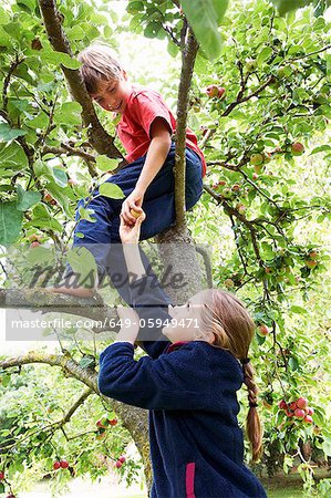 Enfants, cueillir des fruits dans les arbres