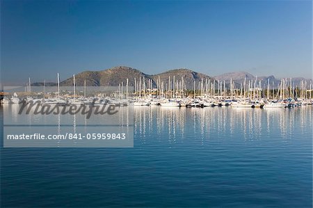 Offre une vue sur le port Port d'Alcudia, Majorque, îles Baléares, Espagne, Méditerranée, Europe Offre une vue sur le port Port d'Alcudia, Majorque, îles Baléares, Espagne, Méditerranée, Europe