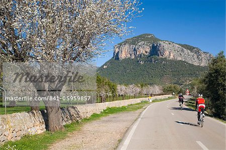 Radfahrer auf der Landstraße, Alaro, Mallorca, Balearen, Spanien, Europa