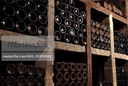 Wine bottles in wine cellar, Saarburg, Saar Valley, Rhineland-Palatinate, Germany, Europe