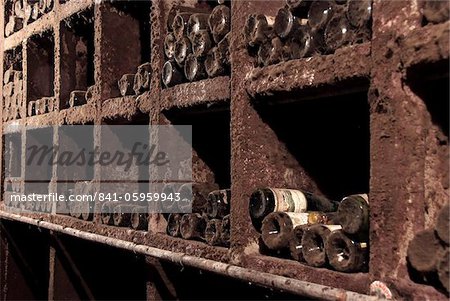 Wine bottles in wine cellar, Saarburg, Saar Valley, Rhineland-Palatinate, Germany, Europe