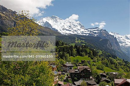 Wengen und Jungfrau, Berner Alpen, Berner Oberland, Schweizer Alpen, Schweiz, Europa