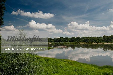 Fleuve d'Elbe et de sa flore près de village de Storkau, Saxe-Anhalt, Allemagne, Europe