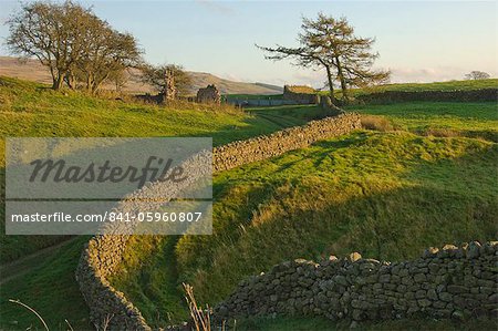 Haresceugh Castle ruin, north Pennine, Cumbria, England, United Kingdom, Europe