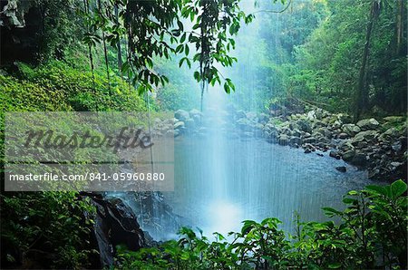 Crystal Shower Falls, Dorrigo National Park, New South Wales, Australia, Pacific