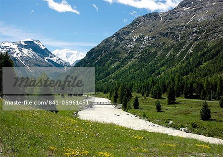 Fluss in der Nähe von St. Moritz, Kanton Graubünden, Schweizer Alpen, Schweiz, Europa