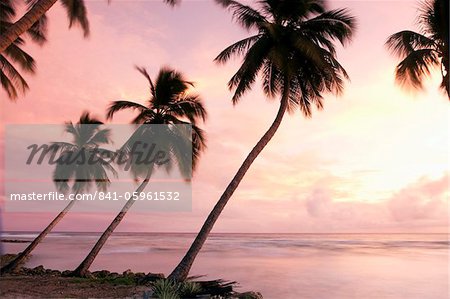 Coucher de soleil tropical, Bridgetown, Barbade, Antilles, Caraïbes, Amérique centrale