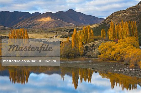 Glorieux automne couleur près du lac Wanaka, Otago, île du Sud, Nouvelle-Zélande, Pacific Glorieux automne couleur près du lac Wanaka, Otago, île du Sud, Nouvelle-Zélande, Pacific