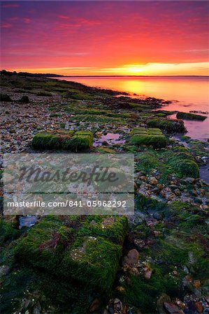 Sunrise over Lepe Beach in the New Forest National Park, Hampshire, England, United Kingdom, Europe