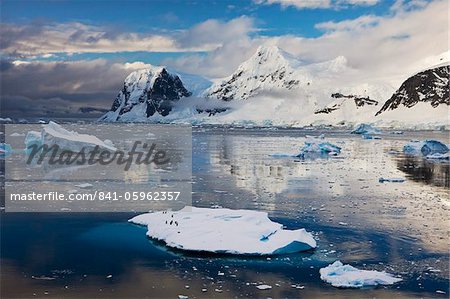 Pingouins flottant sur un iceberg dans le détroit de Gerlache, péninsule de l'Antarctique, l'Antarctique, les régions polaires