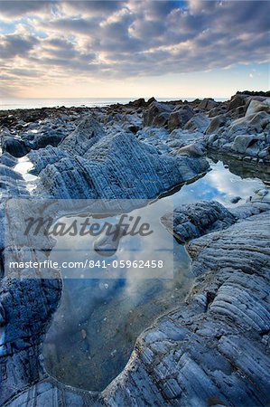 Rockpool at Sandymouth, Cornwall, England, United Kingdom, Europe